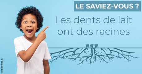 https://dr-eric-arvouet.chirurgiens-dentistes.fr/Les dents de lait 2