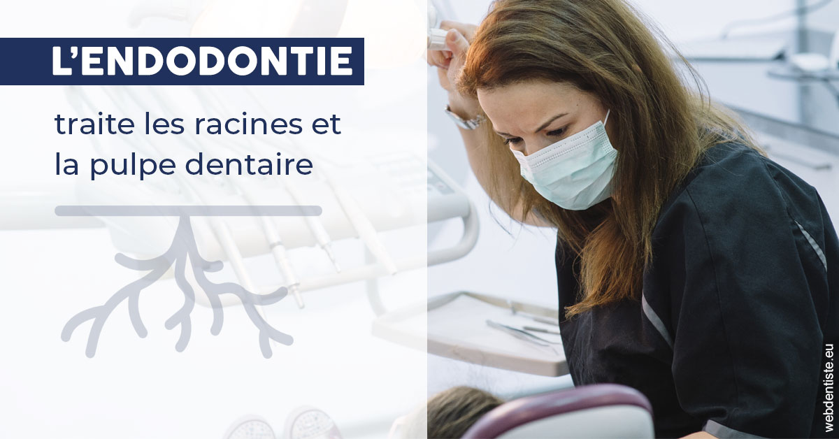 https://dr-eric-arvouet.chirurgiens-dentistes.fr/L'endodontie 1