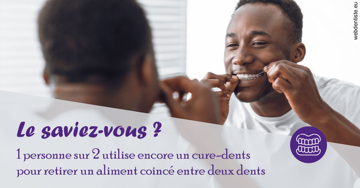 https://dr-eric-arvouet.chirurgiens-dentistes.fr/Cure-dents 2