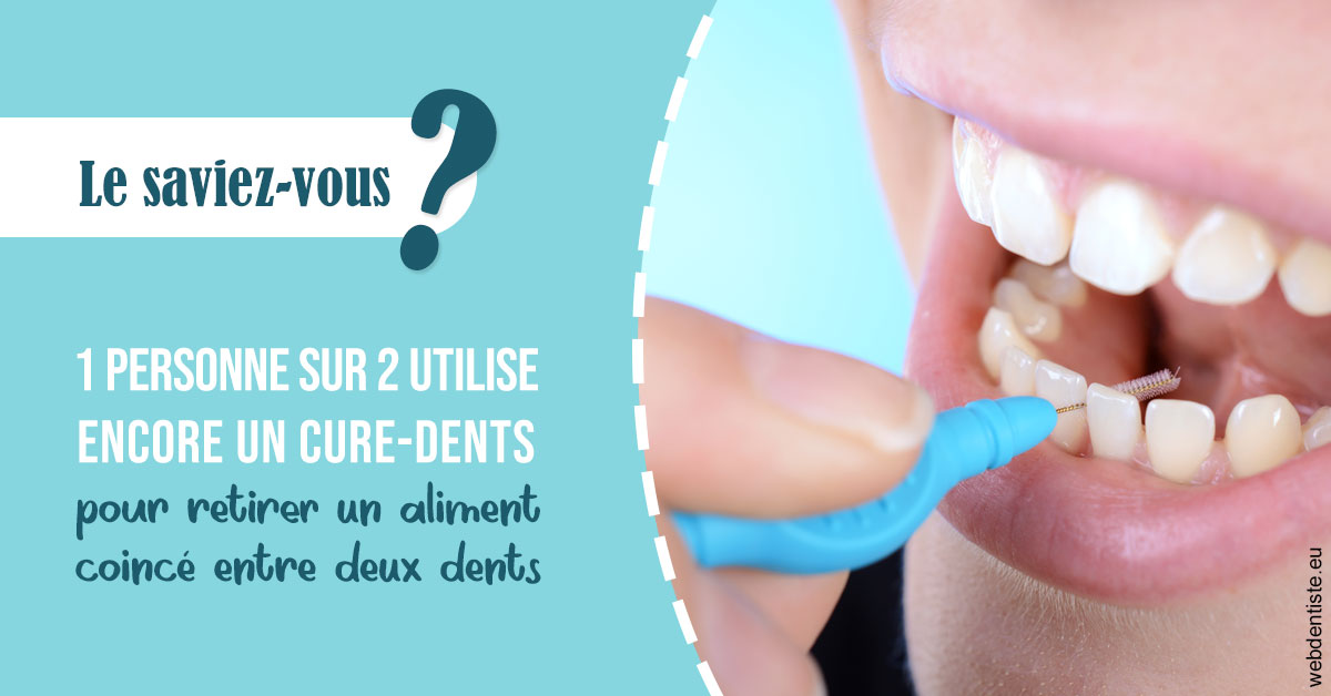 https://dr-eric-arvouet.chirurgiens-dentistes.fr/Cure-dents 1